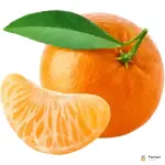 Mandarin