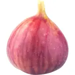 Figs