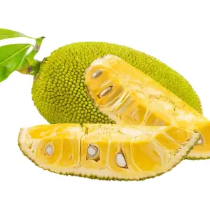 Jackfruit