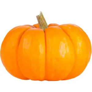 Mini Orange Pumpkin