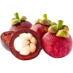Mangosteen Indonesia
