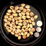 Premium Pistachio Nuts In Dubai