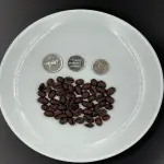 Black Cofee Beans