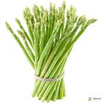 Asparagus Green Thailand