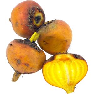 Baby Beetroot Golden
