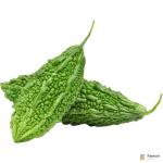 Bitter Gourd