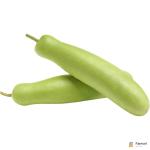 Bottle Gourd