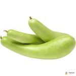 Bottle Gourd