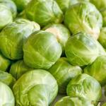 Brussels Sprout Holland
