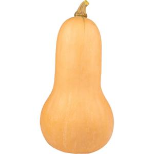 Butternut Pumpkin