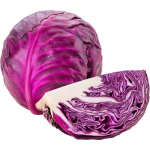 Cabbage Red