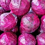 Cabbage Red
