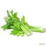 Celery