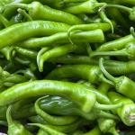 Chili Green Long