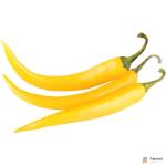 Chilli Yellow Long