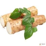 Chinese Yam