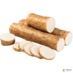 Chinese Yam