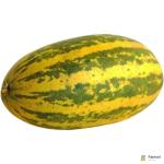 Cucumber Yellow Vellari