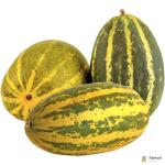 Cucumber Yellow Vellari