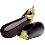 Eggplant Holland
