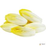 Endive White