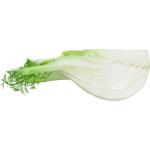 Fennel