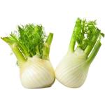 Fennel
