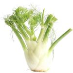 Fennel