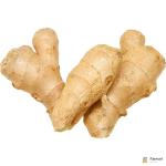 Ginger China