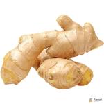 Ginger China