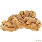 Ginger India