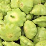 Green Patty Pan