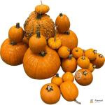 Halloween Pumpkin