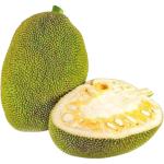 Jackfruit Green