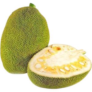 Jackfruit Green