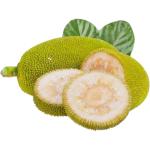 Jackfruit Green