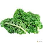 Kale Leaves