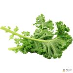 Kale Leaves