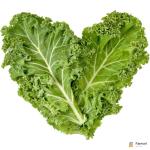 Kale Leaves