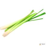 Lemongrass