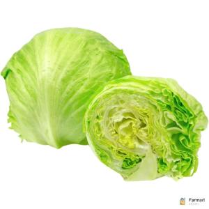 Lettuce Iceberg