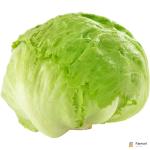 Lettuce Iceberg