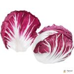 Lettuce Radicchio