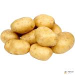 Maris Piper Potato