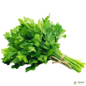 Parsley