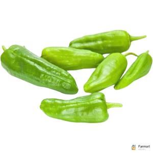 Pimiento Padron Chilli Spain