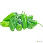 Pimiento Padron Chilli Spain
