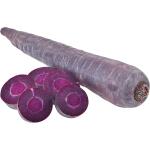 Purple Carrot