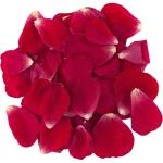 Red Rose Petals
