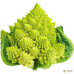 Romanesco